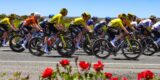 Visma | Lease Bike versterkt zich met jonge ploegleider Joppe de Heij van Unibet Rose Rockets