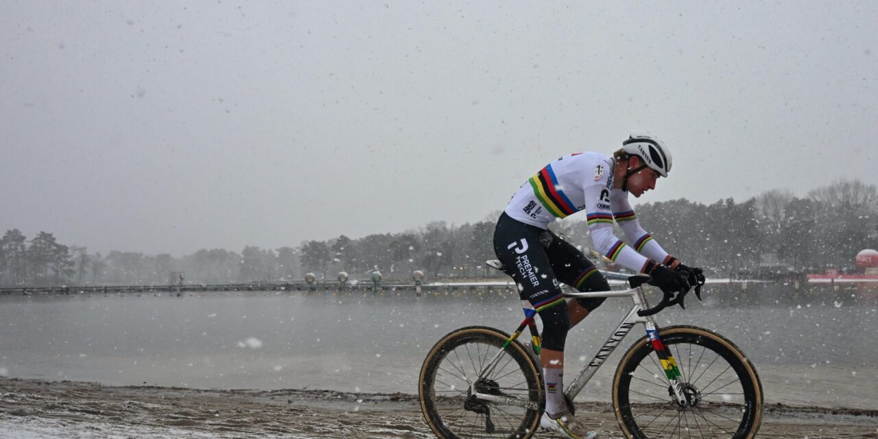 “Publiekstent gered van instorting”: Sneeuw zorgde even voor kopzorgen in Zonhoven