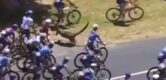 Bizarre beelden uit Tour Down Under: kangoeroe zorgt voor valpartijen en opgaves
