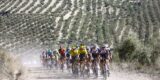 Pidcock, Wellens en Pellizzari kruisen vandaag de degens in ‘Spaanse Strade Bianche’