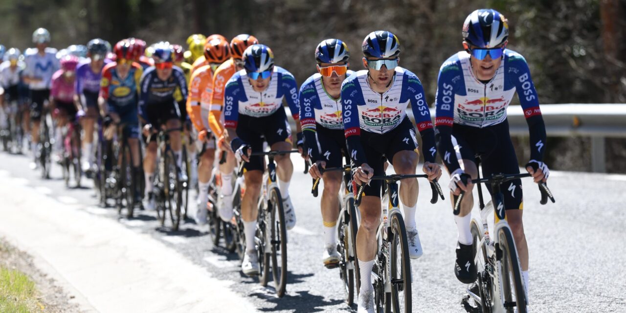 Red Bull over rolverdeling Evenepoel en Lipowitz in Tour: Ze mogen het onderling uitvechten
