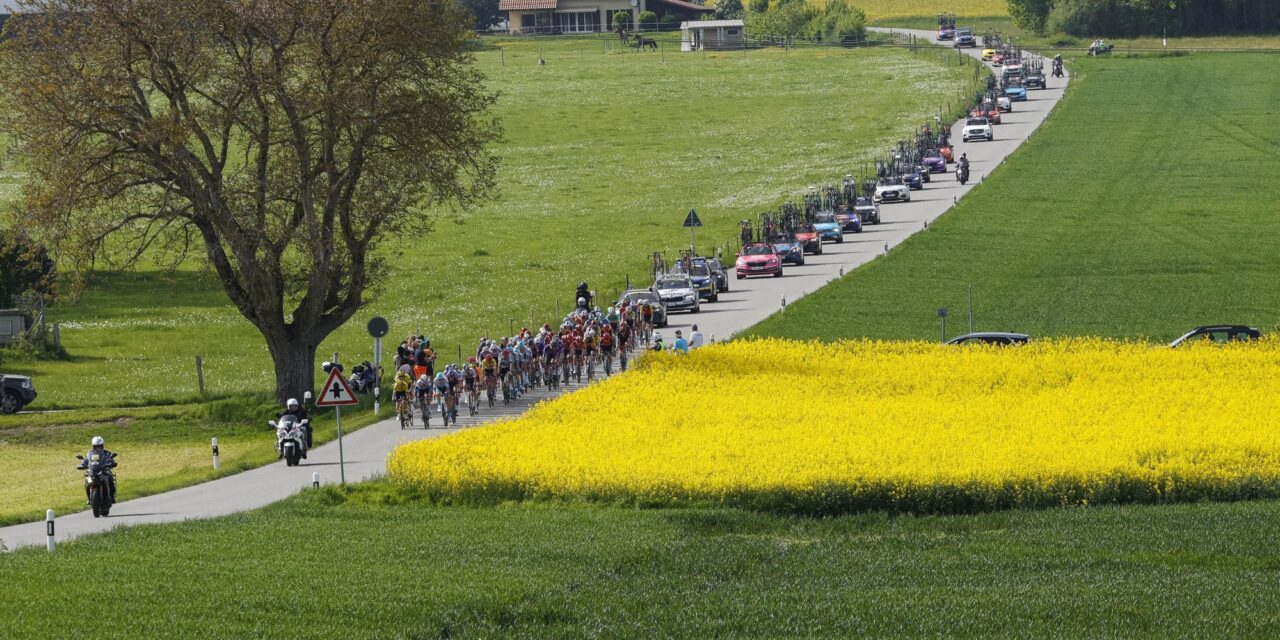 Ronde van Romandië moet zonder hoofdsponsor overleven: “We zijn de Tour de France niet”