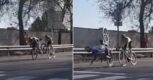 Nieuwe beelden tonen hoe Remco Evenepoel ten val kwam in Ronde van Catalonië