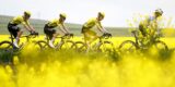 Ook Bart Lemmen maakt indruk deze Giro: “We hebben op de toppen van ons kunnen gereden”