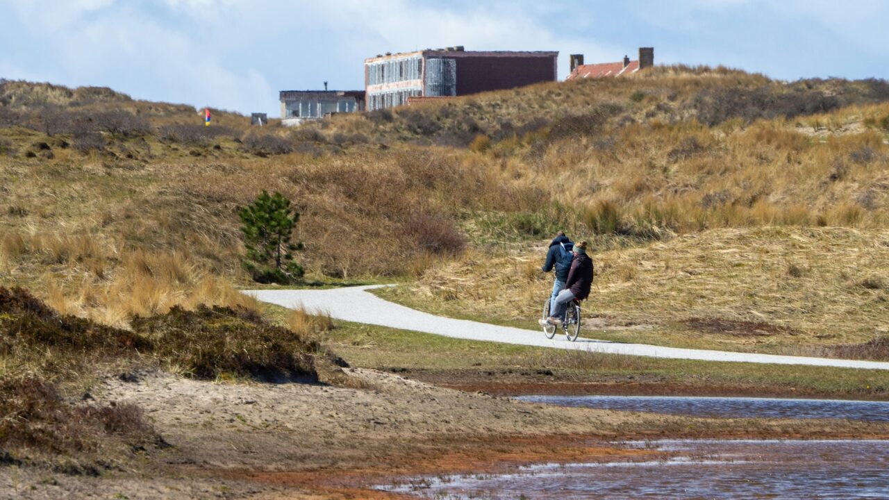 Fietsen tussen duinen, dijken en bossen: waarom Nederland op twee wielen het mooist is