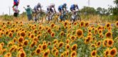 Tour 2026: Code oranje vanwege kans op zware onweersbuien tijdens dertiende etappe