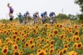 Tour 2026 - Liveblog etappe 12: Vier vluchters op pad in sprintetappe