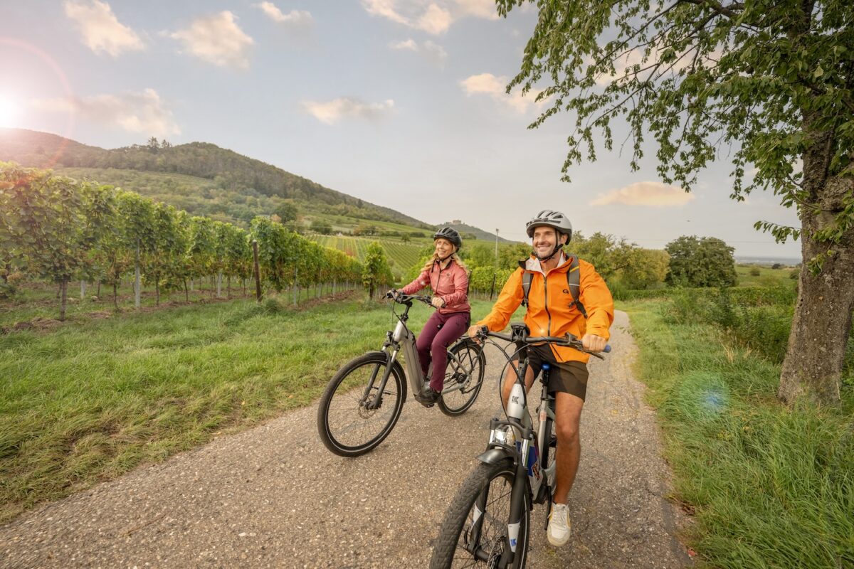 Rheinland-Pfalz op de fiets: genieten tussen wijngaarden en ruïnes