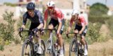 Campagnolo verkoopt aandelen aan eigenaar van Pinarello
